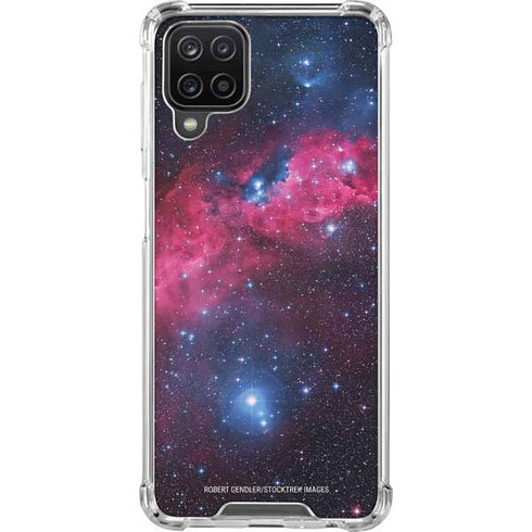 IC 2177 The Seagull Nebula Galaxy Cases